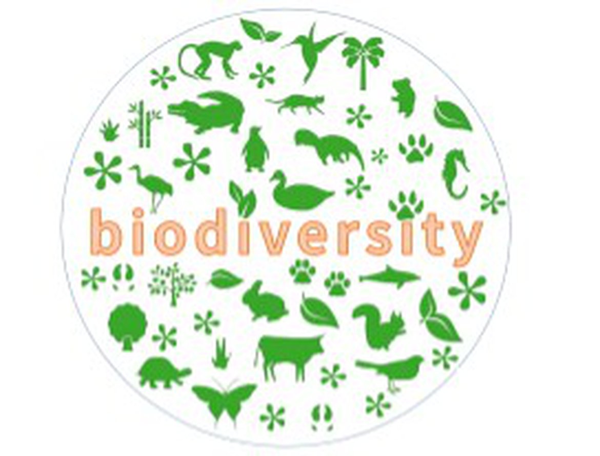 Biodiversity means something.