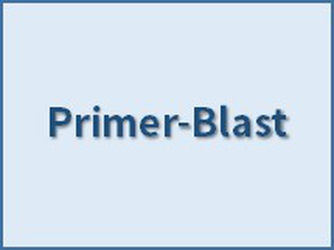Finding primers specific to your PCR template (using Primer3 and BLAST)