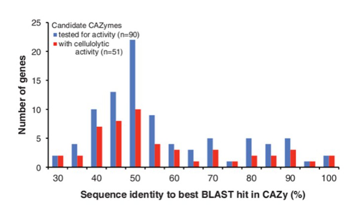 候选序列CAZymes活性检测统计