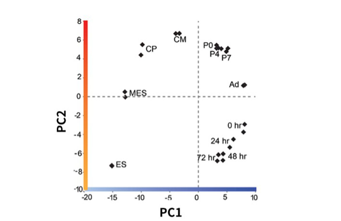 差异基因PCA分析