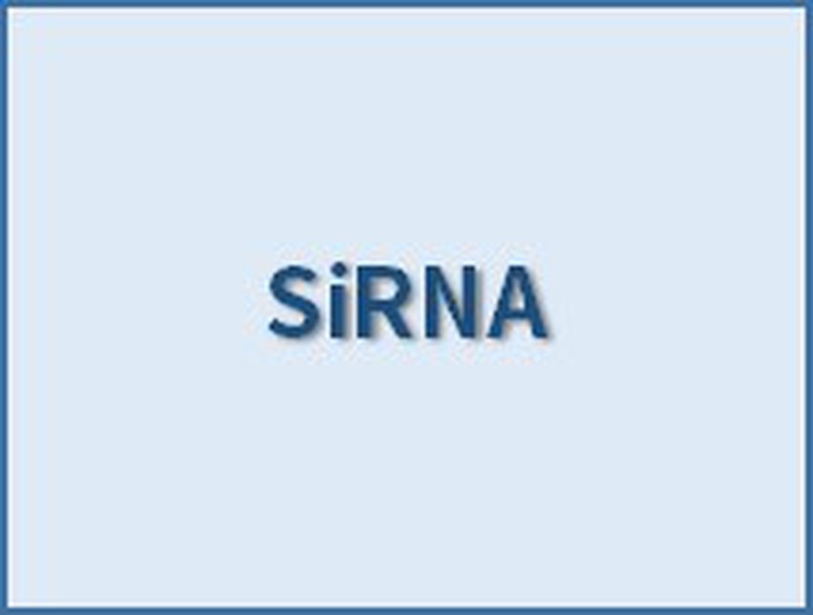 To design siRNAs for silencing gene expression